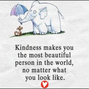 kindnessquote - image kindnessquote-300x300 on https://thedreamcatch.com