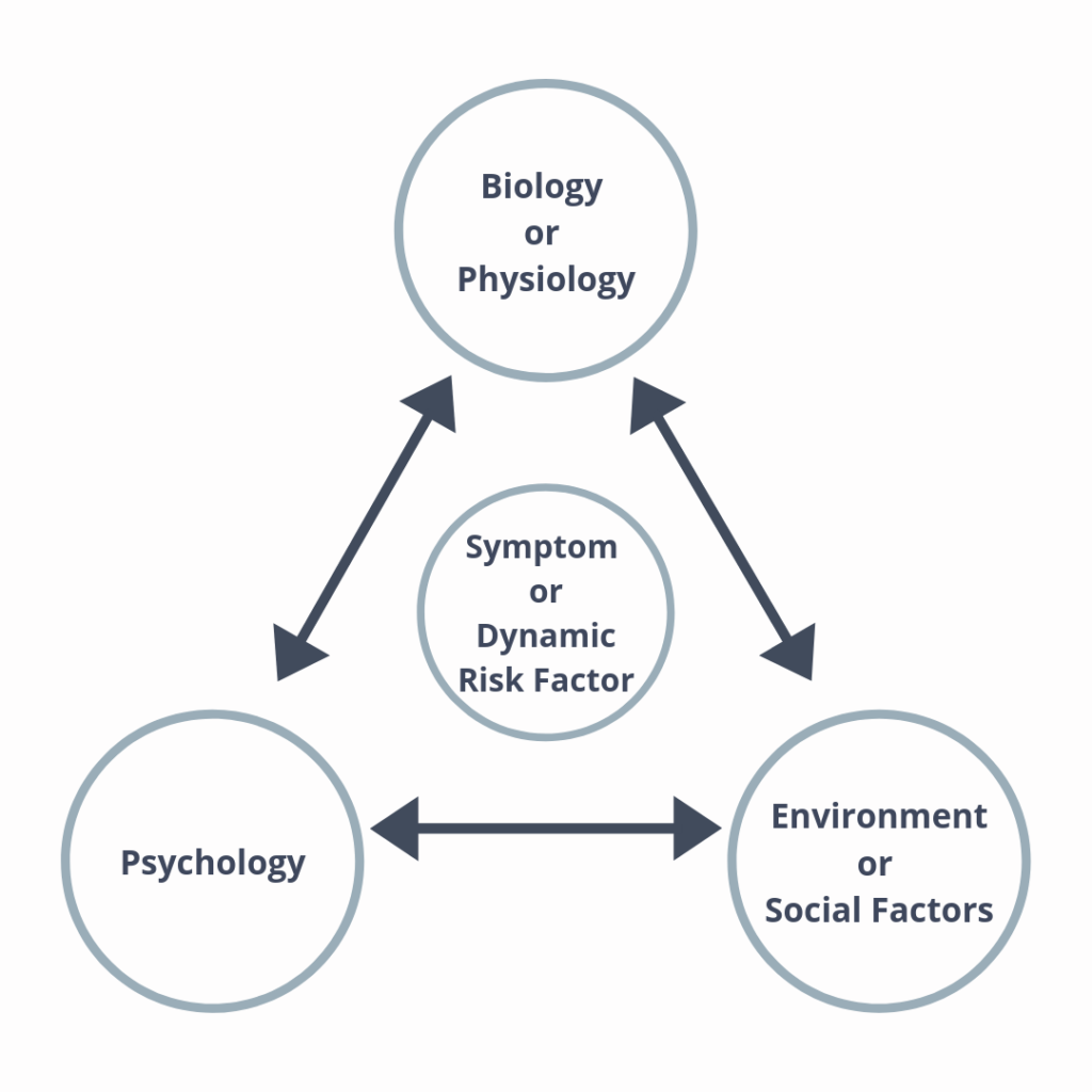 5 Ways to Manage Your Energy Better - image biosocialmodel-1024x1024 on https://thedreamcatch.com