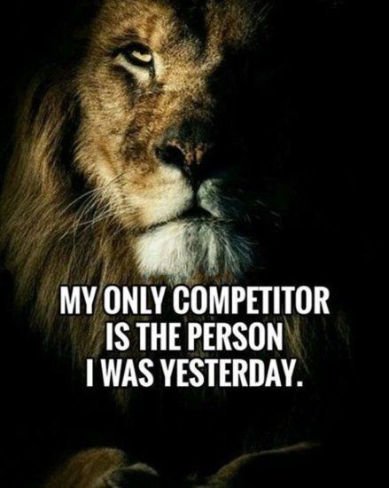 The Right Way to Be Competitive - image lion-quote on https://thedreamcatch.com