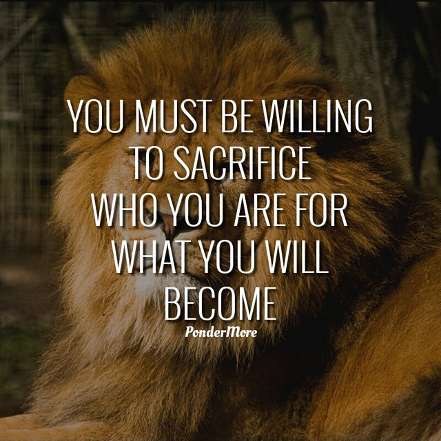 5 Signs a Sacrifice is Worth Making - image quotesacrifice on https://thedreamcatch.com