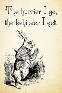 rabbit - image rabbit-200x300 on https://thedreamcatch.com