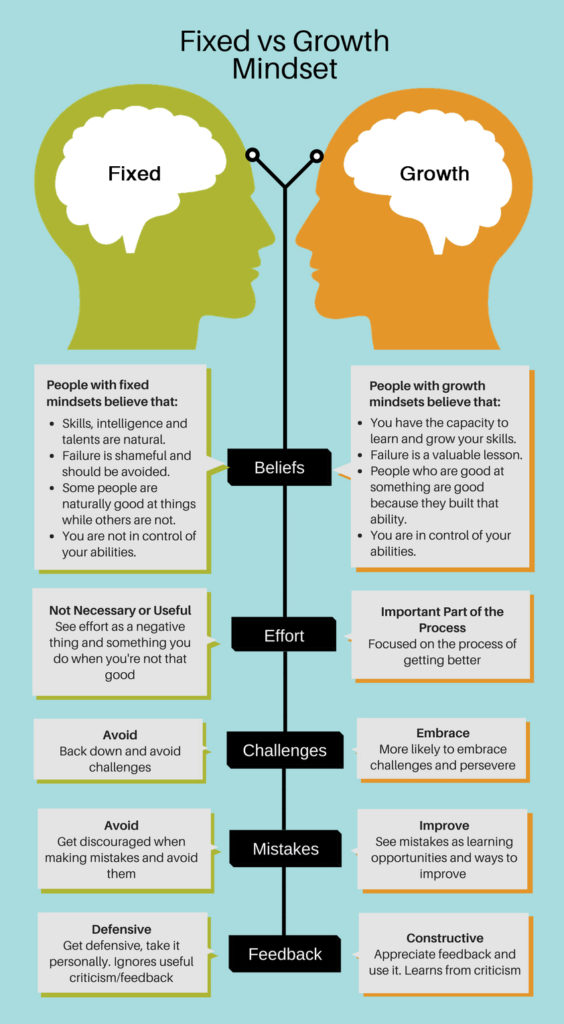 Fixed vs. Growth Mindset: How Your Thoughts Impact Your Life - image Fix-vs-Growth-564x1024 on https://thedreamcatch.com
