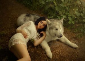 A petite girl with dark hair and soft cute face features is lying on gray-white forest wolf, doll in short white light dress resting on a big dog, a cute and attractive photo of fairy tale dream - image lonewolf-300x215 on https://thedreamcatch.com