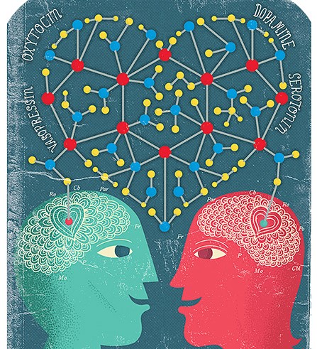 Young Love vs. Old Love: How Both Types of Love are Special - image neurochemistry on https://thedreamcatch.com