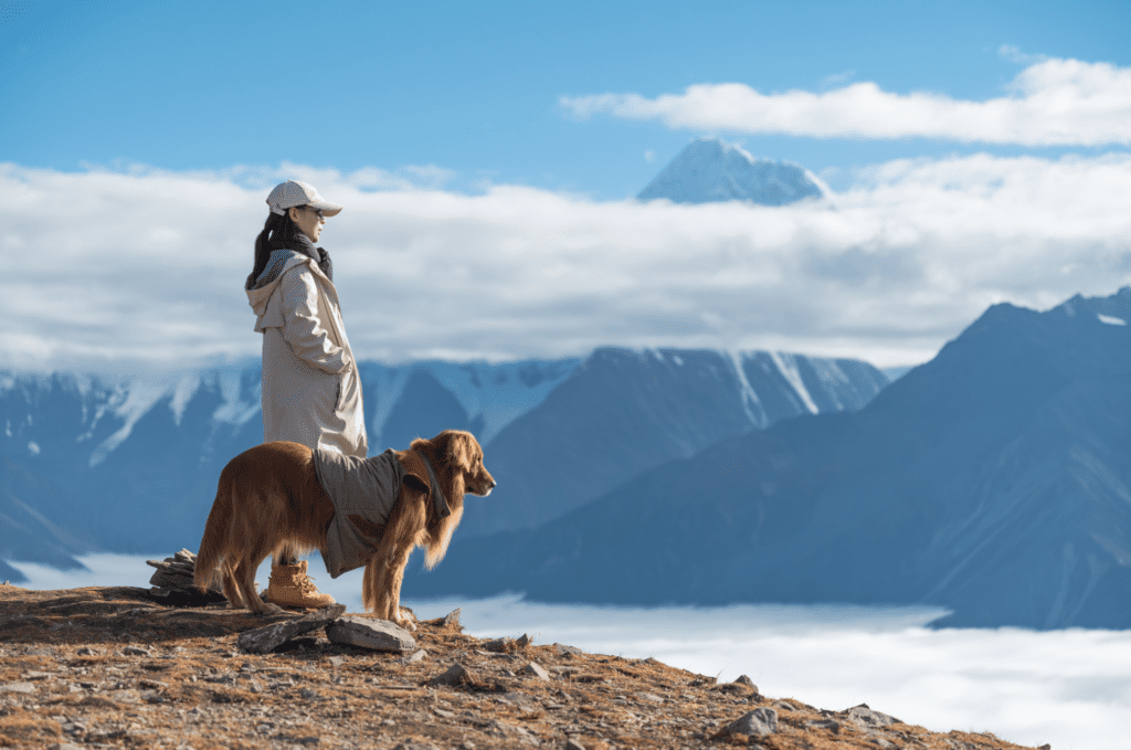 The Dream Catcher - image animal-personality-types_M-1024x679 on https://thedreamcatch.com